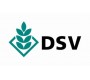 DSV