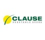 CLAUSE