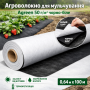 Агроволокно для мульчирования Agreen 50 г/м² черно-белое (рулон 0.64×100 м) 