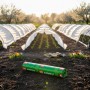 Агроволокно укрывное Agreen 50 г/м² белое 🌱 рулон 1.6×100 м | АгроСадиба