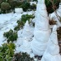 Агроволокно укрывное Agreen 50 г/м² белое 🌱 рулон 1.6×100 м | АгроСадиба