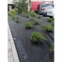 Агроволокно Agreen 50 г/м² чёрно-белое с перфорацией для мульчирования (пакет 1.6×10 м, 3 отверстия) 