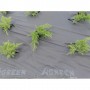 Агроволокно Agreen 50 г/м² чёрно-белое с перфорацией для мульчирования (пакет 1.6×10 м, 3 отверстия) 