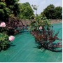 Агроткань Agreen Hardy Tex 100 гр/м2 мульчирующая зеленая (1.6х100)
