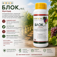 Фунгіцид Блок 