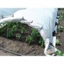 Агроволокно Agreen біле 30 г/м² (3.2м×100 м)
