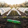 Агроволокно Agreen біле 42 г/м² (1.6 м×100 м)