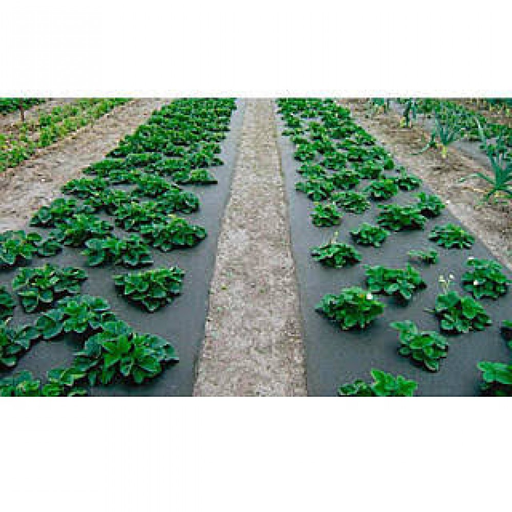 Агроволокно Agreen черное 50 г/м² (1.07 × 100 м) с перфорацией
