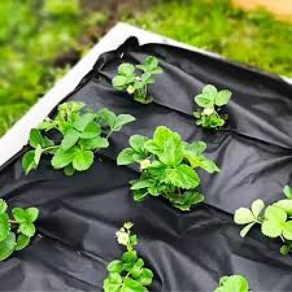Агроволокно Agreen чорне 100 г/м² (1.6×100 м)