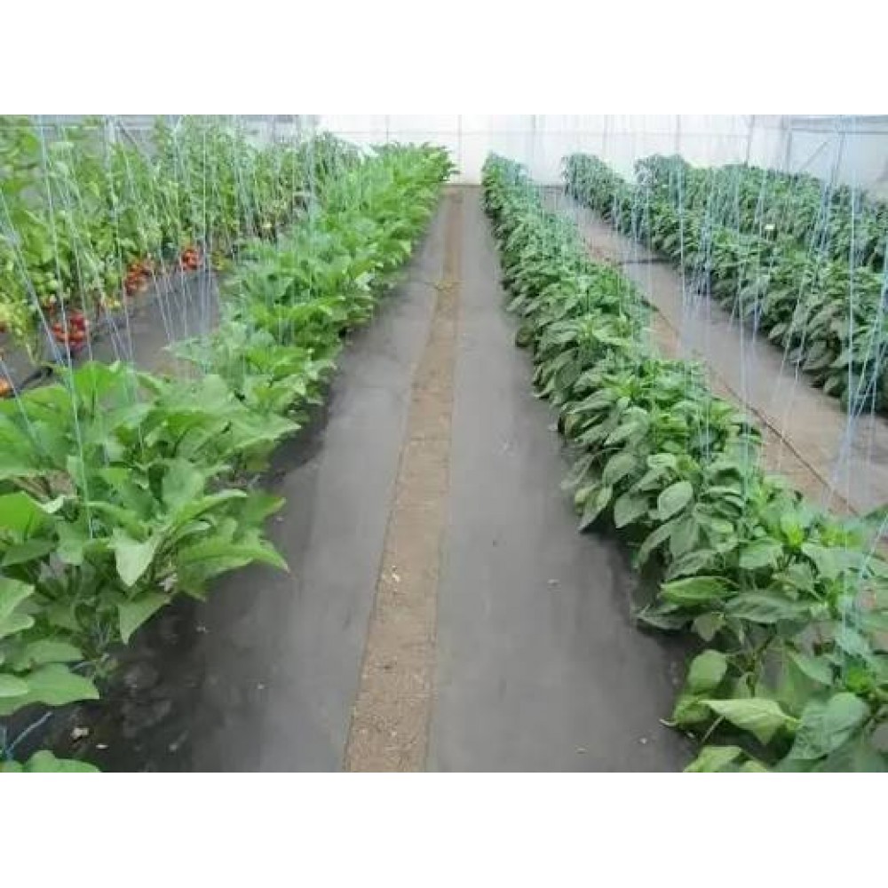 Агроволокно Agreen чорне 100 г/м² (1.6×100 м)