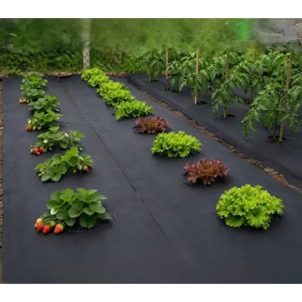 Агроволокно Agreen чорне 50 г/м² (0.64×100 м)