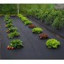 Агроволокно Agreen чорне 50 г/м² (0.64×100 м)