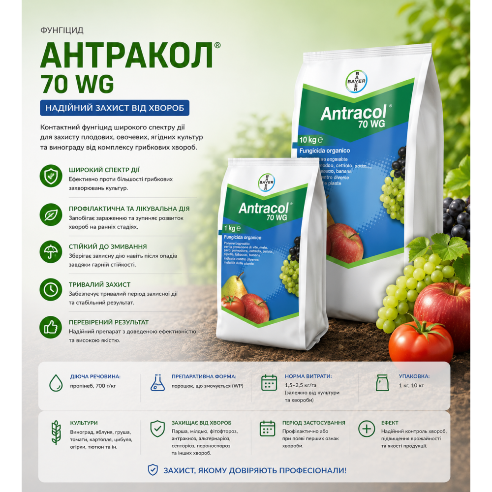 Фунгіцид Антракол - 1 кг | 10 кг