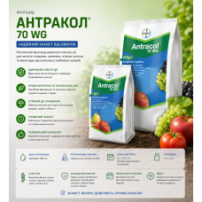 Фунгіцид Антракол 