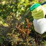 Удобрение Rost® Концентрат 15.7.7 - 1 л | 4 л