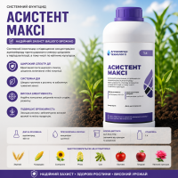 Фунгіцид Асистент Максі 