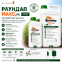 Гербіцид Раундап Макс 1л | 20л