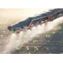 Добриво-укорінювач Рутмост C-60 Smart Grow, 1л