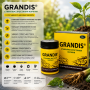 Біостимулятор-укорінювач Грандіс > Grandis > 10 гр | 50 гр | 100 гр