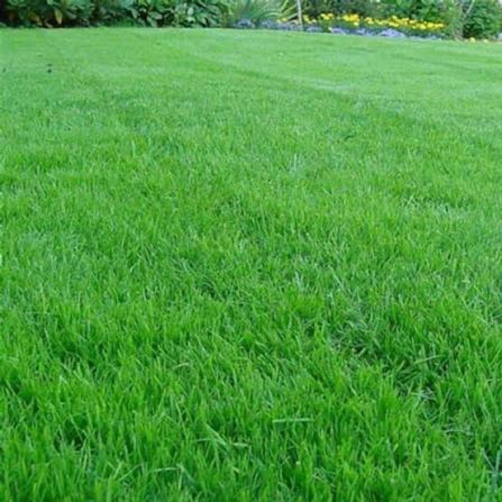 Газонная трава EuroGrass Газон Люкс 1 кг