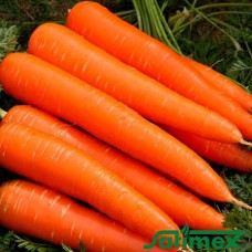 Осенняя королева