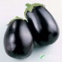 Насіння баклажанів Беллеса Нера > Belles Nera > 5 гр | 10 гр