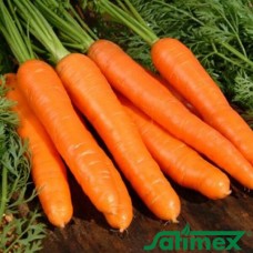 Красная боярыня