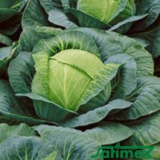 Копенгаген маркет