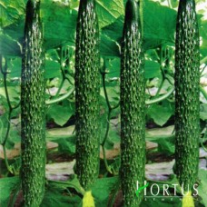 Китайський змій