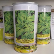 Лонг Стендинг