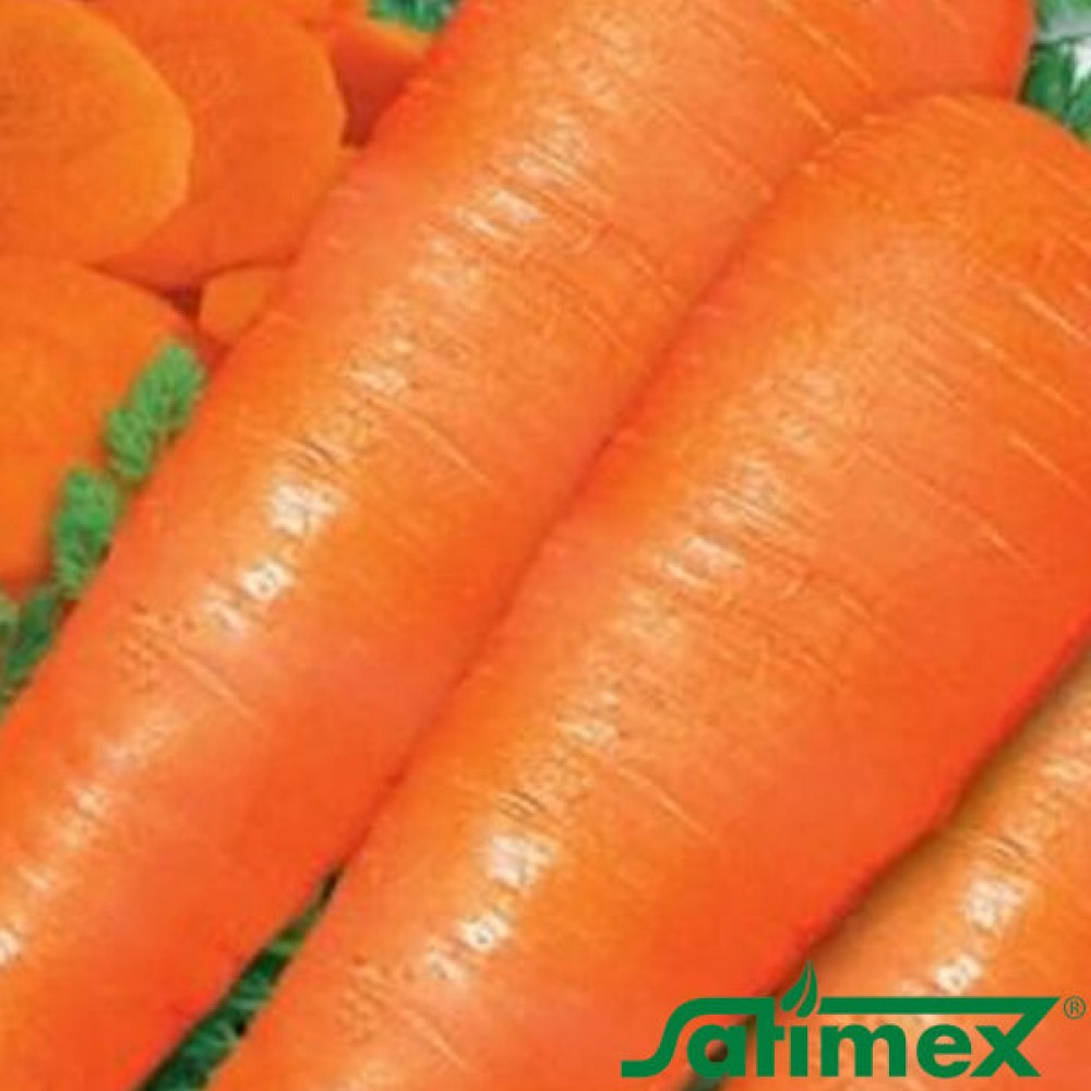 Семена моркови Лонг роте Штумпфе 100 гр | 500 гр