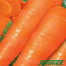 Лонг роте Штумпфе