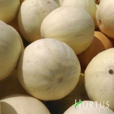 Медовая роса