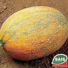 Дыня Паспорт F1