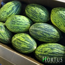 Пьеле де сапо