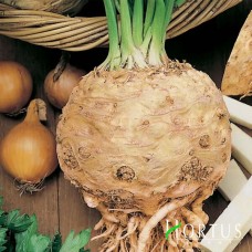 Пражский гигант