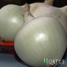 Лук Тонда мусона (белый) 250 гр