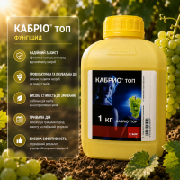 Фунгіцид Кабріо Топ 