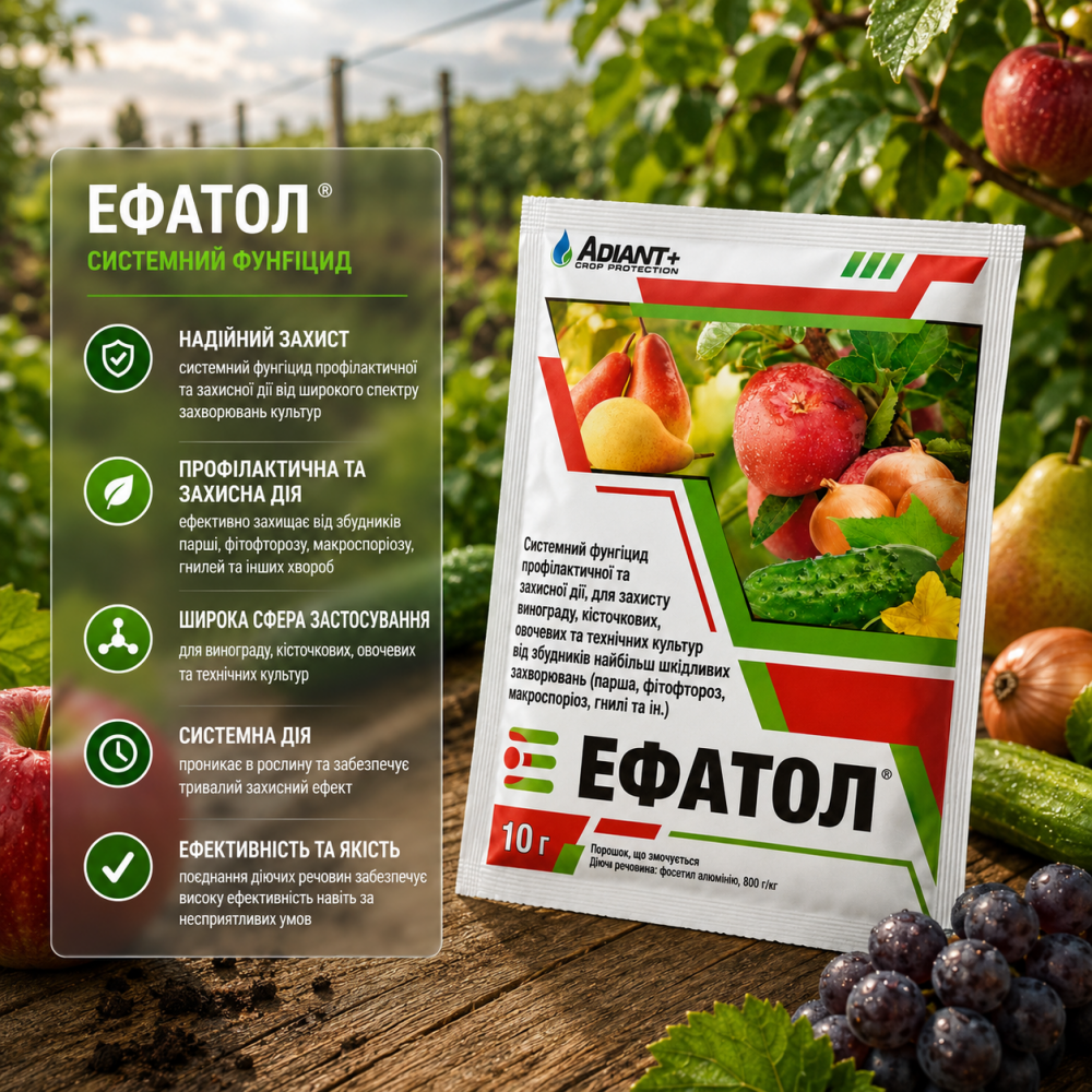 Фунгіцид Ефатол > 10 гр