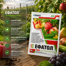 Фунгіцид Ефатол 