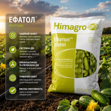 Фунгіцид Ефатол 