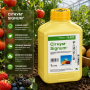 Фунгіцид Сігнум  6 гр | 100 гр | 1кг
