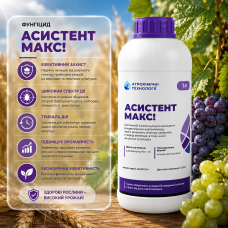 Фунгіцид Асистент Максі 
